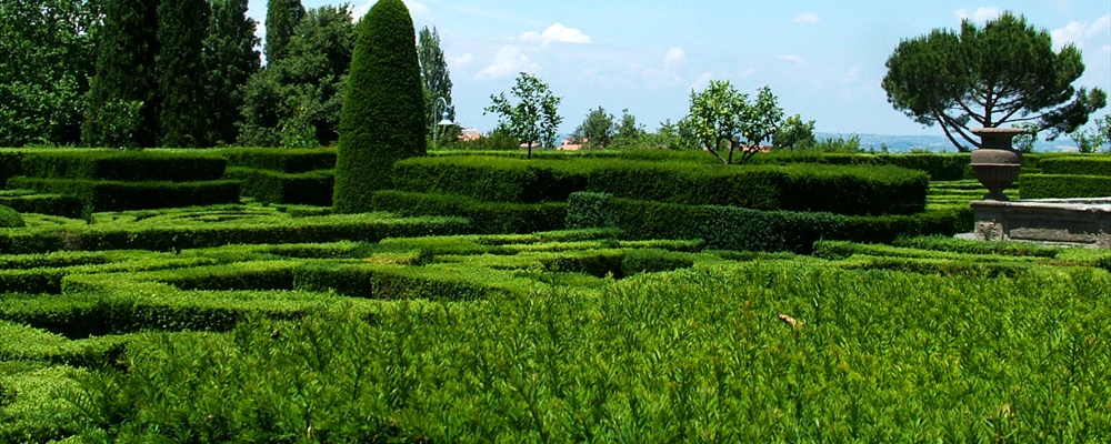 In the parterre